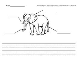 Maybe you would like to learn more about one of these? Label The Elephant By Miss Kemp S Kindergarten Tpt