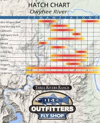Owyhee River Hatch Chart Trr Outfitters