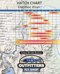 owyhee river hatch chart trr outfitters