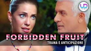 Soap - Forbidden Fruit, Anticipazioni Turche: Yildiz Ritorna Da  Halit...Altro... | Facebook