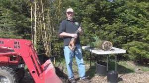 Find the rhizome where the plant should be divided by pushing the tip of a shovel or. How To Divide A Clumping Bamboo Youtube