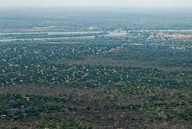 The kazungula bridge is located at the kazungula crossing, where botswana and zambia share a border measuring about 750m over the zambezi river. Kazungula Bridge Wikipedia