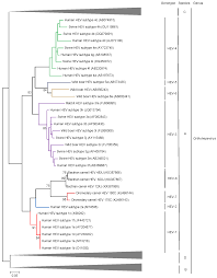 Cinnamon sticks are the closest thing to idiot prof you can get when lighting things on fire. Ijms Free Full Text Hepatitis E Virus Genotypes And Evolution Emergence Of Camel Hepatitis E Variants