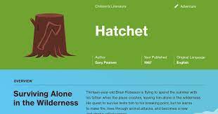 Hatchet Chapter 16 Summary Course Hero