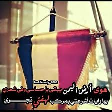 هوى أرض اليمن يبقى بإحساسي دمت شامخآ يا وطني bags clutch beautiful