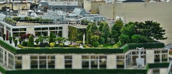 The roof gardens, in addition serve to create greening at home, also in minimizing solar heat into the house. Roof Gardens On A Budget It S Possible Epic Home Ideas