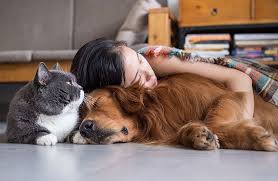 Pin By Brenda Thornlow On Abby S Blog Posts Cool Pets Pet Adoption Your Pet