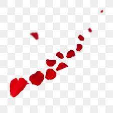 Floating Red Rose Petals Floating Red Png Transparent Clipart Image And Psd File For Free Download In 2020 Rose Petals Falling Red Roses Background Red Glitter Background