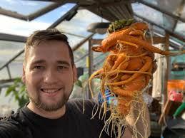 Hello all. Hoping to find gardening advice or a forum for veg growing.