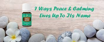 Maybe you would like to learn more about one of these? 7 Ways Peace Calming Essential Oil Lives Up To Its Name Young Living Blog