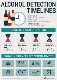 So, it takes about 25 hours for your body to clear all the alcohol. How Long Does Alcohol Stay On Your System Delamere Rehab