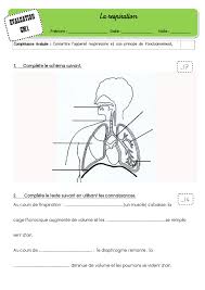 We did not find results for: La Respiration