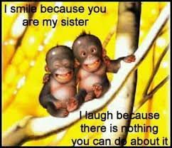 In fact, they make her ecstatic! Pin By Taylor Abplanalp On Animals Sister Quotes Funny Smile Because Sisters Funny