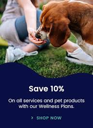 Aussie pet mobile greater memphis & west tn is rated 4.8 out of 5 based on 546 reviews from around the web. Animal Emergency Center Emergency Vet Cordova Pet Er
