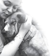 PAWS Wild Night 2022