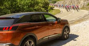 Image result for Brown Squirrel 2014 Peugeot