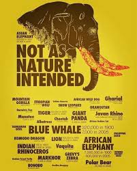 Pin By G N On Rights For Animals Endangered Species Species Extinction Save Wildlife