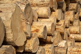 Günstig, individuell, fristgerecht und alles aus einer hand! Holzhaus Bauen Osterreich Ihr Holzhaus Kaufen Planen Vario Haus Fertigteilhauser