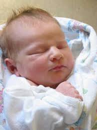 LEE SCHAEFFER's Home Page