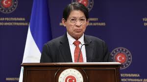 Canciller de Nicaragua: No invitaremos a observadores de la OEA a las  próximas elecciones presidenciales