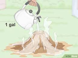 Chances are the ant hill has already caused the grass in that area to die. 4 Easy Ways To Get Rid Of An Ant Hill Wikihow