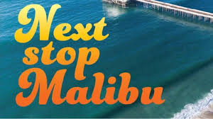 Vila se află în eforie nord, în zona steaua de mare, o zonă liniştită, rezidenţială a staţiunii, la o distanţă de maxim 500m de plajă şi 200m de policlinica balneară steaua. Vila Malibu Eforie Nord Services Facebook