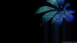 Maybe you would like to learn more about one of these? Hd Black Backgrounds Wallpapers Wallpapers Zone Desktop Background