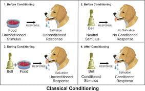 Classical Conditioning Intro Psych Blog F19 Group 4