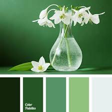 Color Palette 1212 Green Colour Palette Color Palette Color Balance