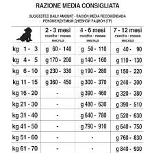 Scopri subito migliaia di annunci di privati e aziende e trova quello che cerchi su subito.it. Quanto Deve Mangiare Un Cane Guida Pratica Playdog Cat