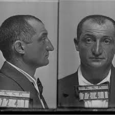 Western Towers: The Healthy Tree Massacre by Jim Potter, Author