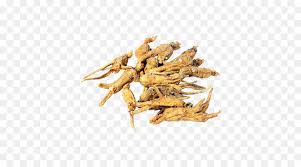 chinese food png download 500 500 free transparent female ginseng png download cleanpng kisspng free transparent female ginseng png
