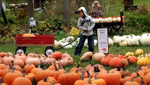 It is 13% greater than the overall u.s. 2018 Fall Festivities In The Milwaukee Suburbs