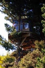 The Best Hut Tree Bach Tree House New Zealand Tree House Tree House Diy Hut