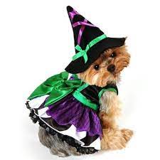 Scary Witch Halloween Dog Costumes Dog Witch Costume Dog Halloween Costumes Dog Halloween