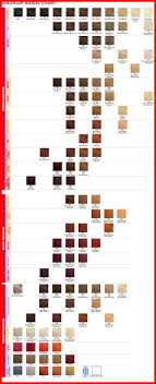 Matrix Socolor Hair Chart Matrix Shade Card India Matrix
