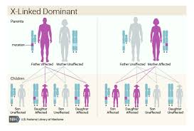 porphyria genetics home reference nih