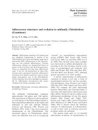 Image result for Leptocarydion vulpiastrum