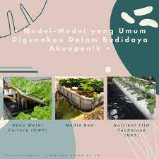 Model Model Akuaponik Aquaponics Tanaman Kolam Ikan