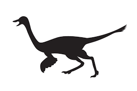 Download Dinosaur Silhouette Gallimimus Svg Cut File By Creative Fabrica Crafts Creative Fabrica Yellowimages Mockups