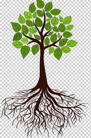 Tree Root Branch Png Branch Flora Girdling Leaf Line Tree Roots Tattoo Tree Roots Tree