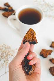 The chain from pickers to wholesale buyers to suppliers to buyers is long, and. Chaga Tea Why Chaga Is The King Of Medicinal Mushrooms