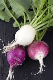 Common Radish Varieties How Many Types Of Radishes Are There