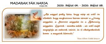 Csoportszobáinkat folyamatosan zöldítettük, például a gyümölcsevéskor talált magokat csíráztattuk. 7 Tema Madarak Es Fak Napja 2020 Majus 04 2020 Majus 08 Albertfalvai Ovoda