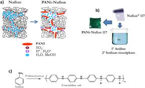Nafion™ membrane is used to separate the anode and cathode compartment of proton exchange membrane fuel cells and water electrolyzers. Evaluation Of Polyaniline Nafion Composite Membranes For Direct Methanol Fuel Cells Durability Tests Sciencedirect