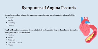 Image result for Angina Pectoris