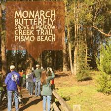 Check spelling or type a new query. Review Monarch Butterfly Grove With Kids In Pismo Beach California