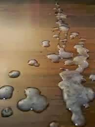 Contoh gambar cara mengeluar kan air mani pada wanita. Air Mani Wanita Belum Berkahwin Malay Sui