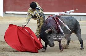 Image result for ivan fandiño