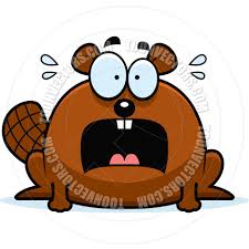 Beaver Clip Art Cartoon Little Beaver Scared Clip Art Cartoon Cartoon Illustration